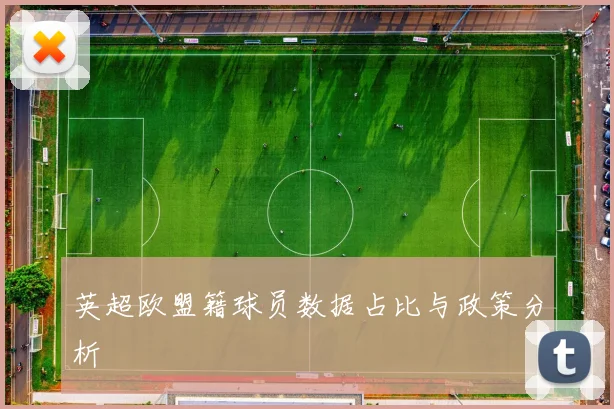 英超欧盟籍球员数据占比与政策分析