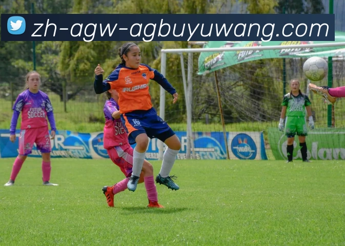 AG捕鱼王官网平台生态图